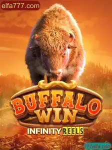 Descubra o Fascinante Mundo de BuffaloWin em elfa777.com